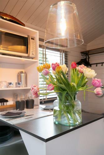 Tiny House Boatshed