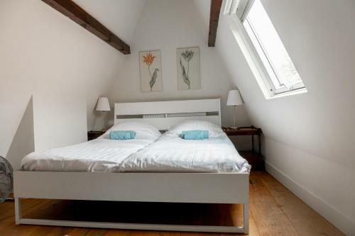 Haarlem Vineyard House