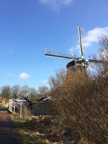 Bed & Breakfast Haarlem 49
