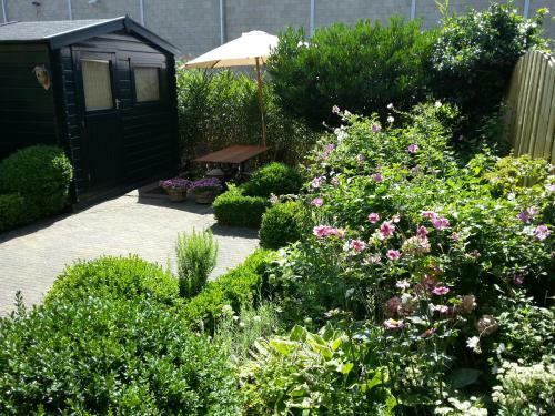Bed & Breakfast Frans Hals Haarlem