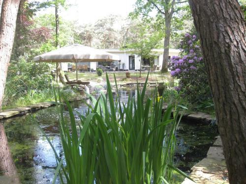 Bed & Breakfast Bosgeluk