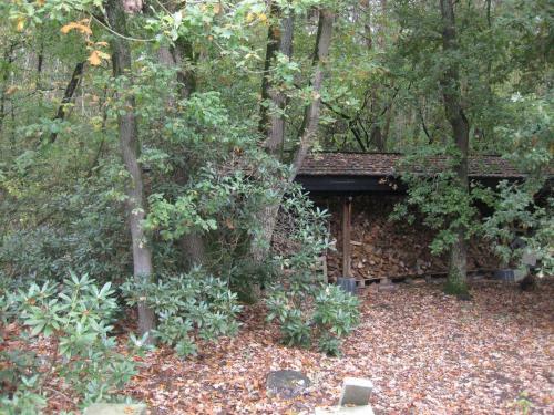 Bed & Breakfast Bosgeluk