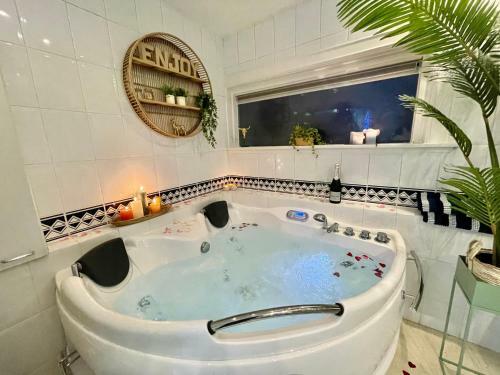 Hostal Guesthouse Villa De Eikhof
