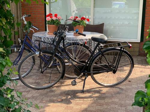 Hostal Huisje Sasa