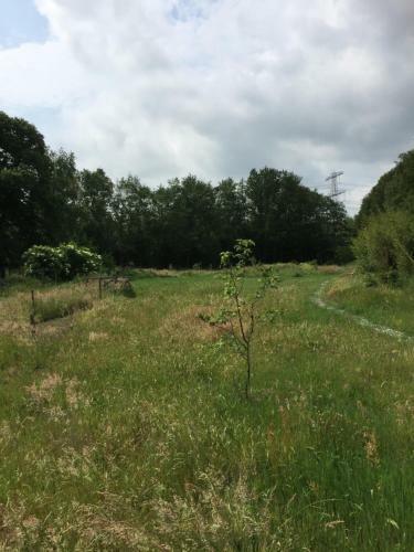 Bed & Breakfast De Distelweide
