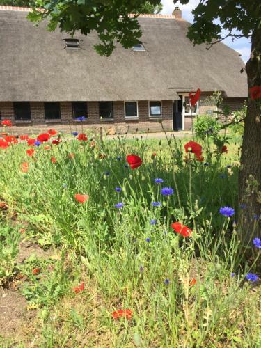 Bed & Breakfast De Distelweide