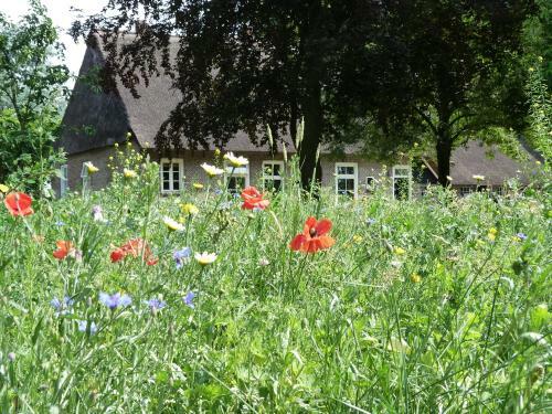 Bed & Breakfast de Kastanjehoeve