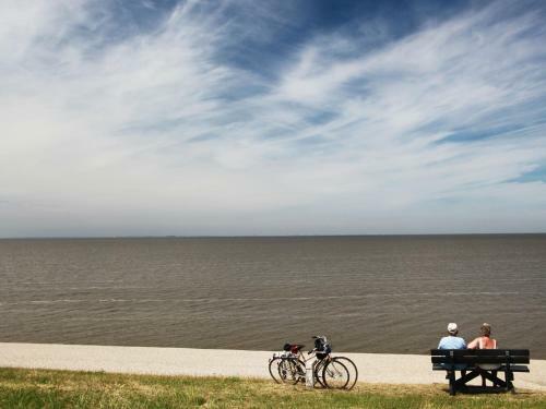 Comfortable Chalet With Dishwasher, Near The Wadden Sea