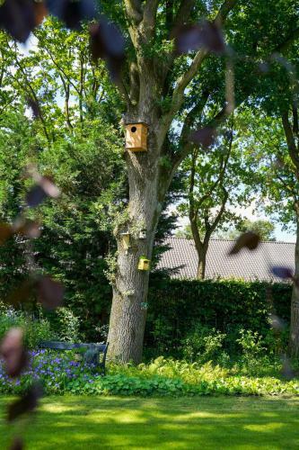 B&B Kleine Beerze