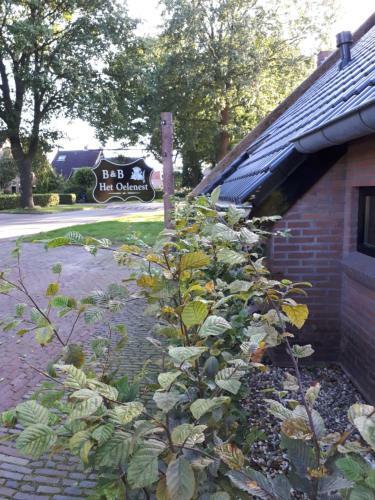 Bed En Breakfast Het Oelenest