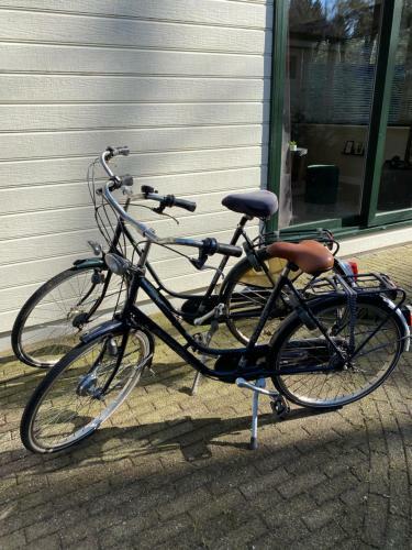 Chalet Forel Op De Veluwe In Hoenderloo