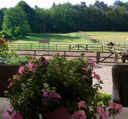 Bed And Breakfast De Paalberg