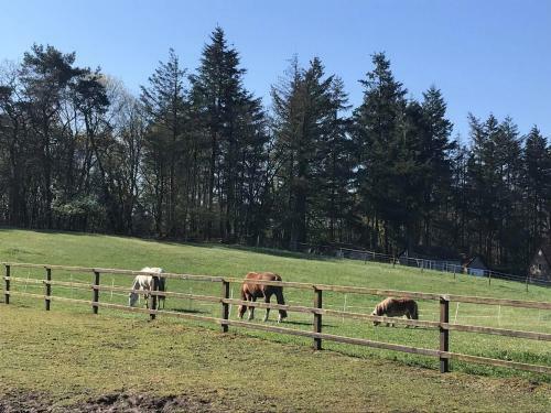 Bed And Breakfast De Paalberg
