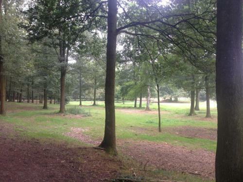B&B Landgoed Bergerven