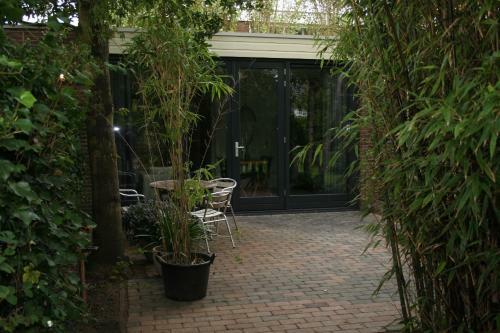 B&B Behind The Tree