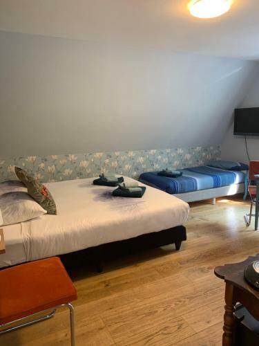 Bed & Breakfast Achterom 7