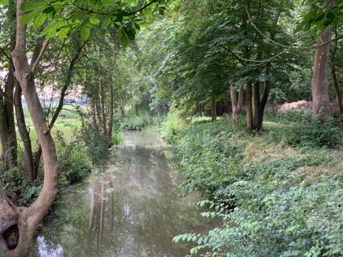 T�nh�ske Jelsum