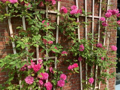 B&B Pastorie Jelsum