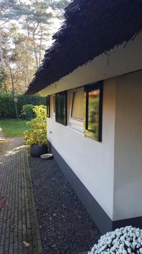 De Witte Bergen 80