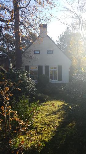 De Witte Bergen 80