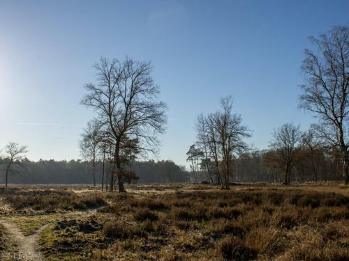 Tiny House Zwarte Mees
