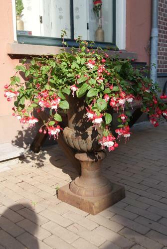 Bed & Breakfast de Zevenster Kampen Aan de Winkelstraat