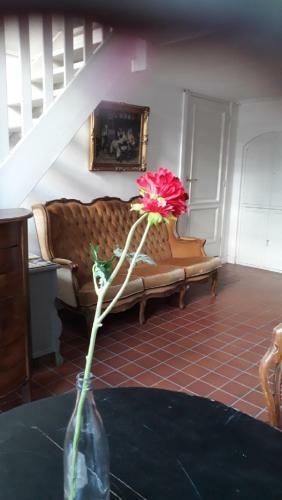 Bed & Breakfast de Zevenster Kampen Aan de Winkelstraat
