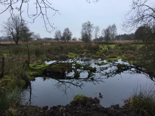 Bed & Breakfast De Drie Berken