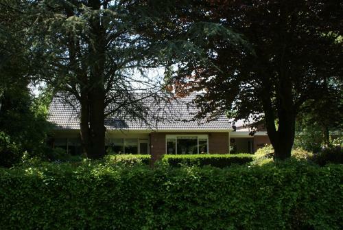 Bed & Breakfast De Drie Berken
