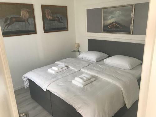 Bed & Breakfast Het Schuurtje