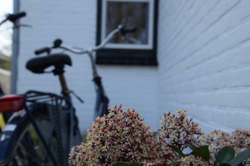 Apartamento Bij Lutske