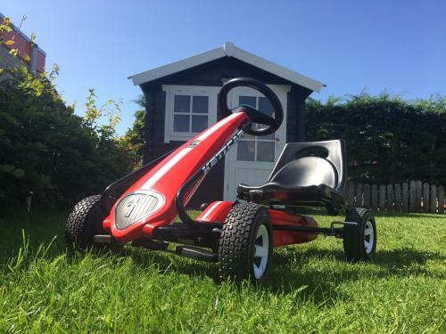 Seestern 251