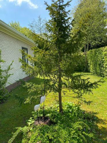 Vrijstaande Vakantiebungalow Ruiterplaat