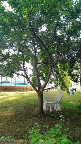 Villa Tree Of Life