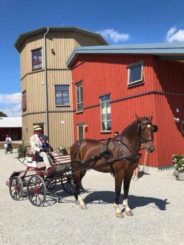 Bed & Breakfast Flyingehus G�rdshotell