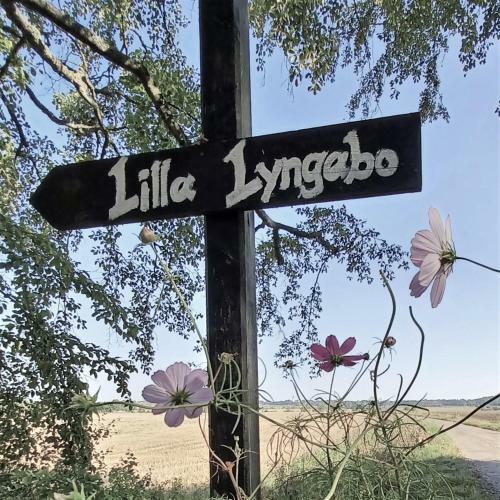 Hostal Lilla Lyngabo