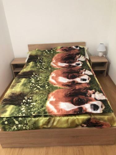 Hostal Casa Valentin