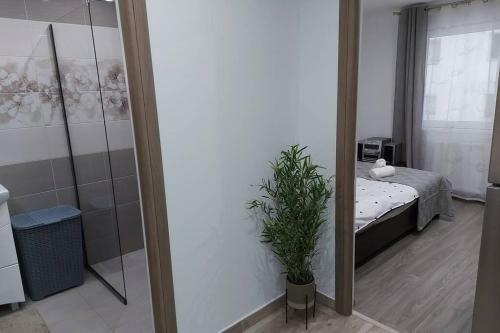 Hidden Apartment