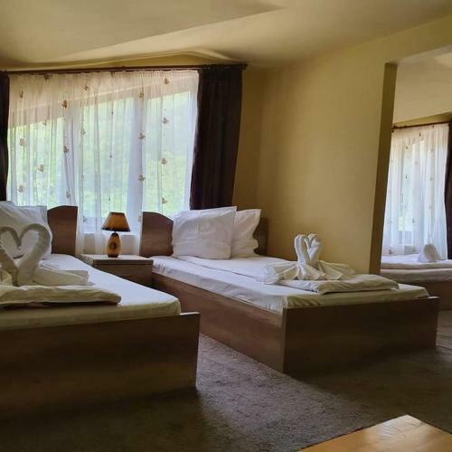 Albergue Pensiunea Mirela Pe?tera Ur?ilor
