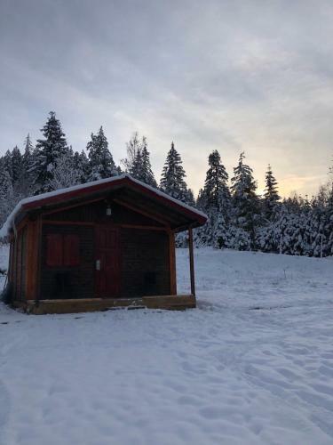 Roua Muntelui