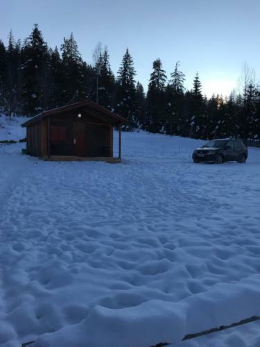 Roua Muntelui