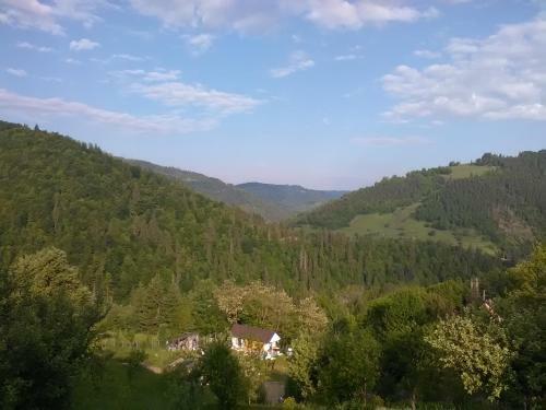 Hostal Casa Cu Muscate
