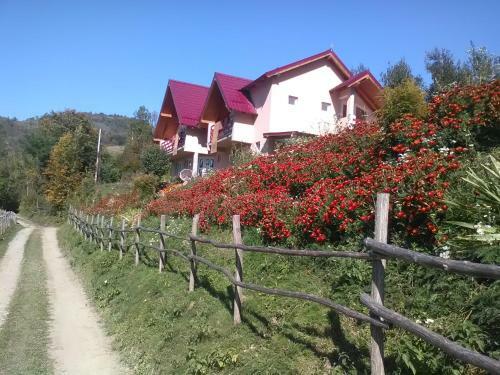 Hostal Casa Cu Muscate