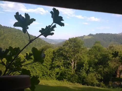 Hostal Casa Cu Muscate