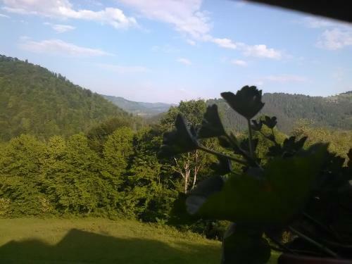 Hostal Casa Cu Muscate