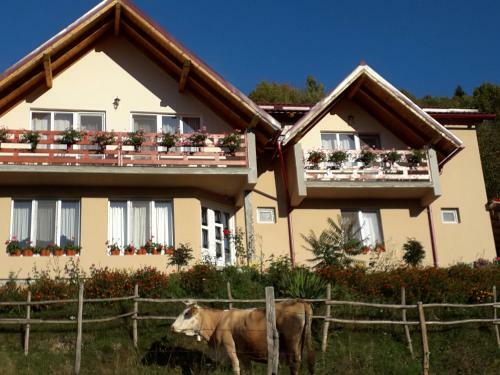 Hostal Casa Cu Muscate