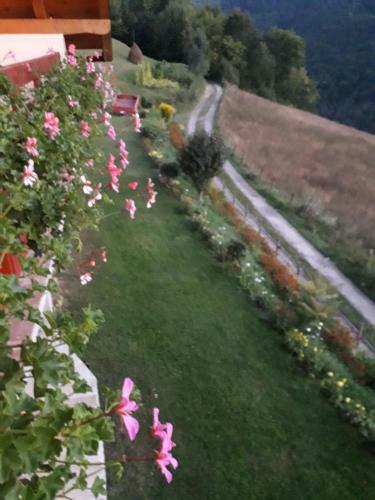 Hostal Casa Cu Muscate