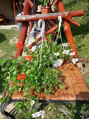 Hostal Casa Cu Muscate