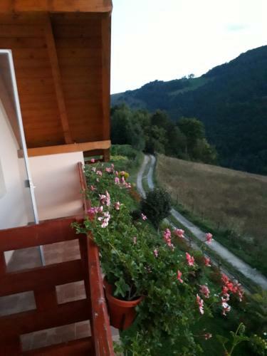 Hostal Casa Cu Muscate