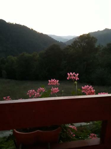 Hostal Casa Cu Muscate